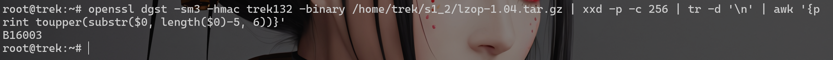 image-20251025021140476