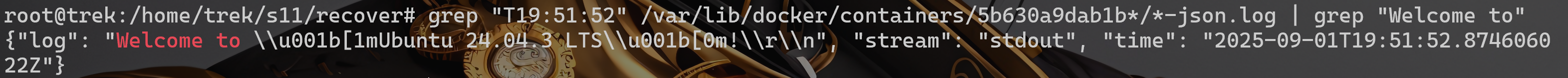 image-20251025025650671