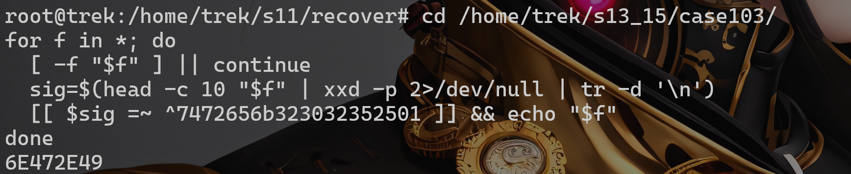 image-20251025025940461