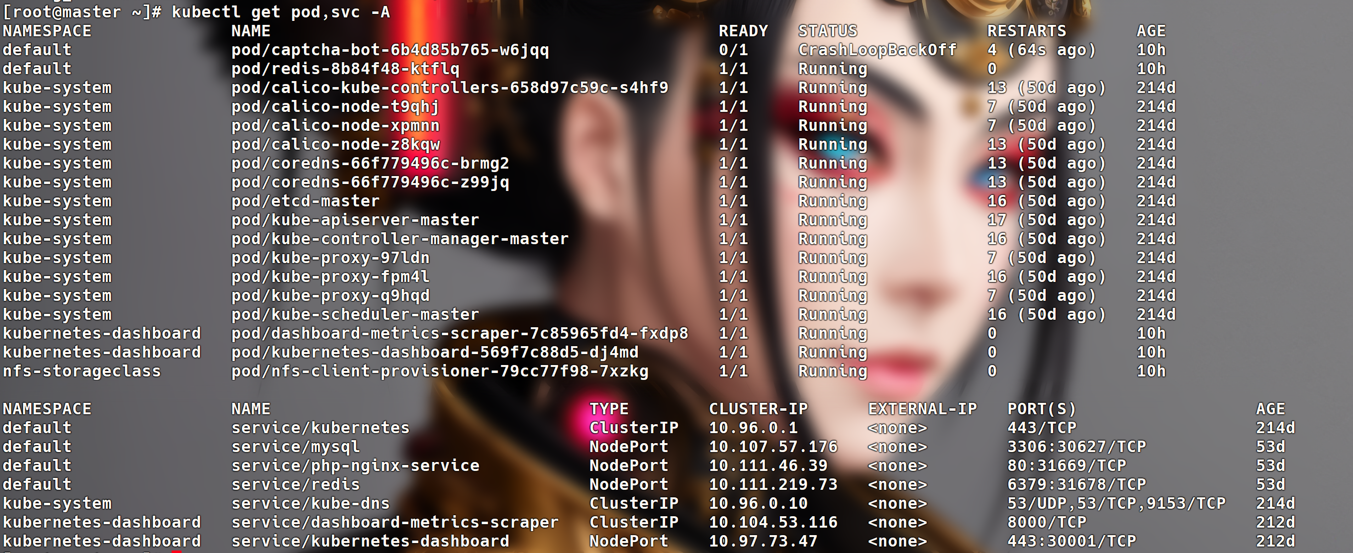 image-20251109024637131