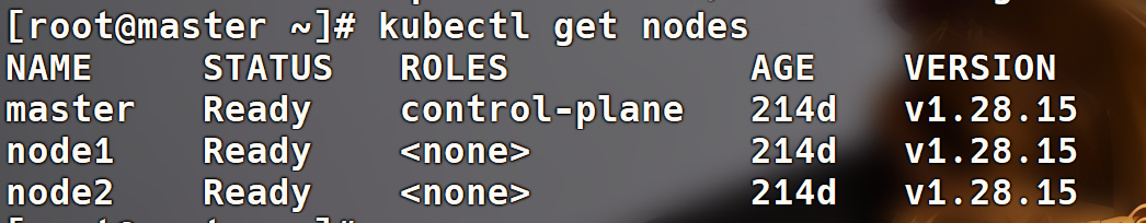 image-20251109040110594