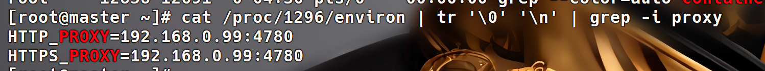 image-20251109043215494