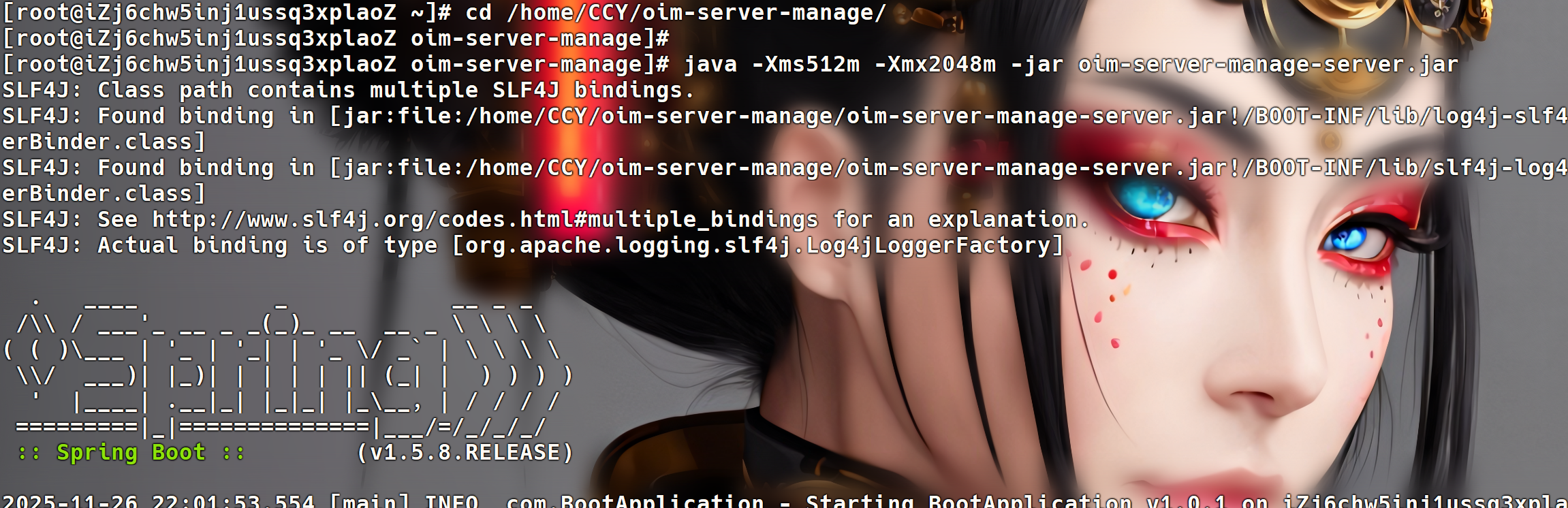 image-20251126220243353